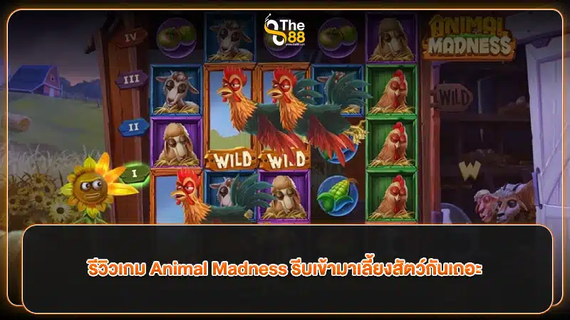 รีวิวเกม Animal Madness รีบเข้ามาเลี้ยงสัตว์กันเถอะ